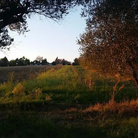 Villa Trau Montemarciano Exterior photo