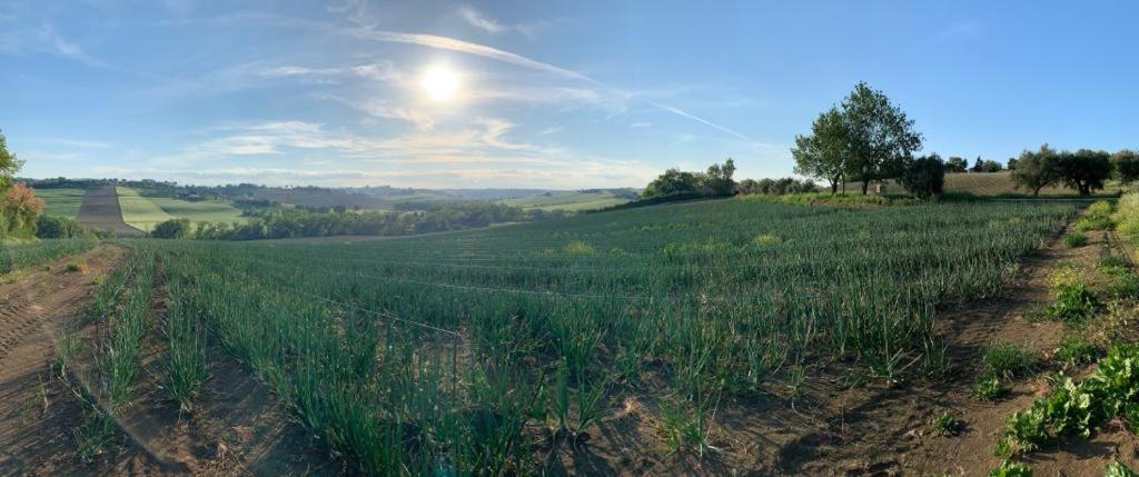 Villa Trau * Montemarciano