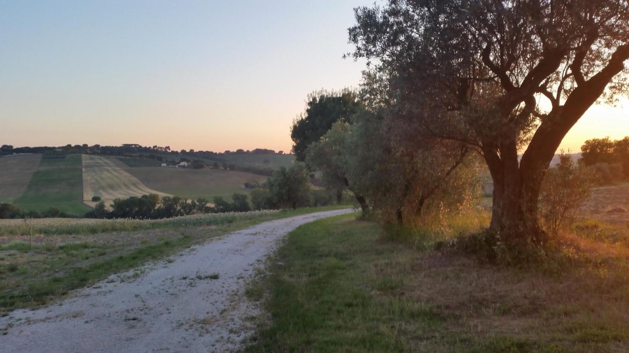 Villa Trau * Montemarciano
